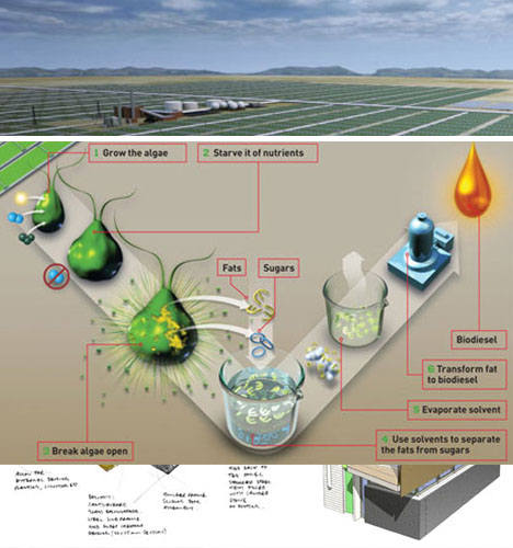 18-car-powering-algae-farm